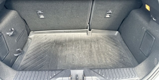 Ford Fiesta Active X Panorama Kamera ACC TWA M&S