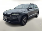 Bild Skoda Karoq 1.0 TSI 110 Ambition LED AHK Kam WinterP