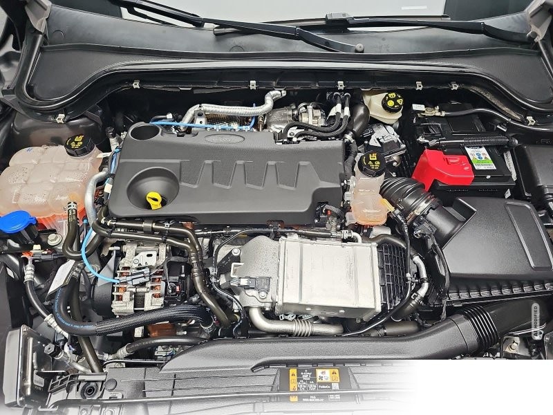 Ford Focus 2.0 EcoBlue ST-Line Navi Winter ACC