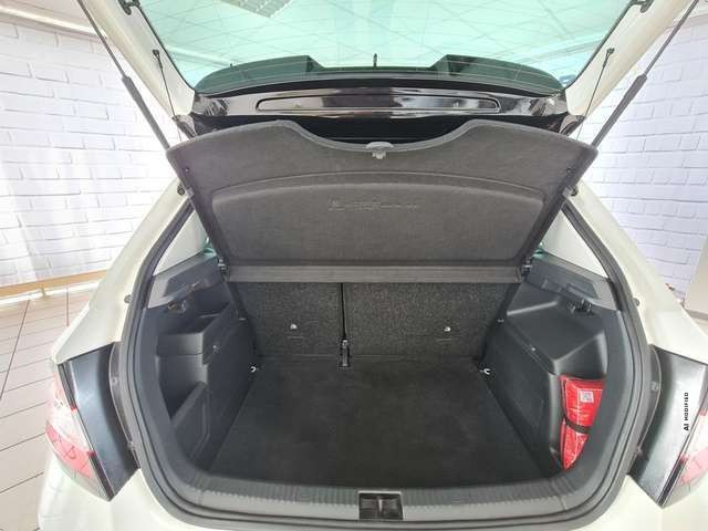 Skoda Fabia R5, Kamera, Navi, App, LMF, Scheckheftgepflegt