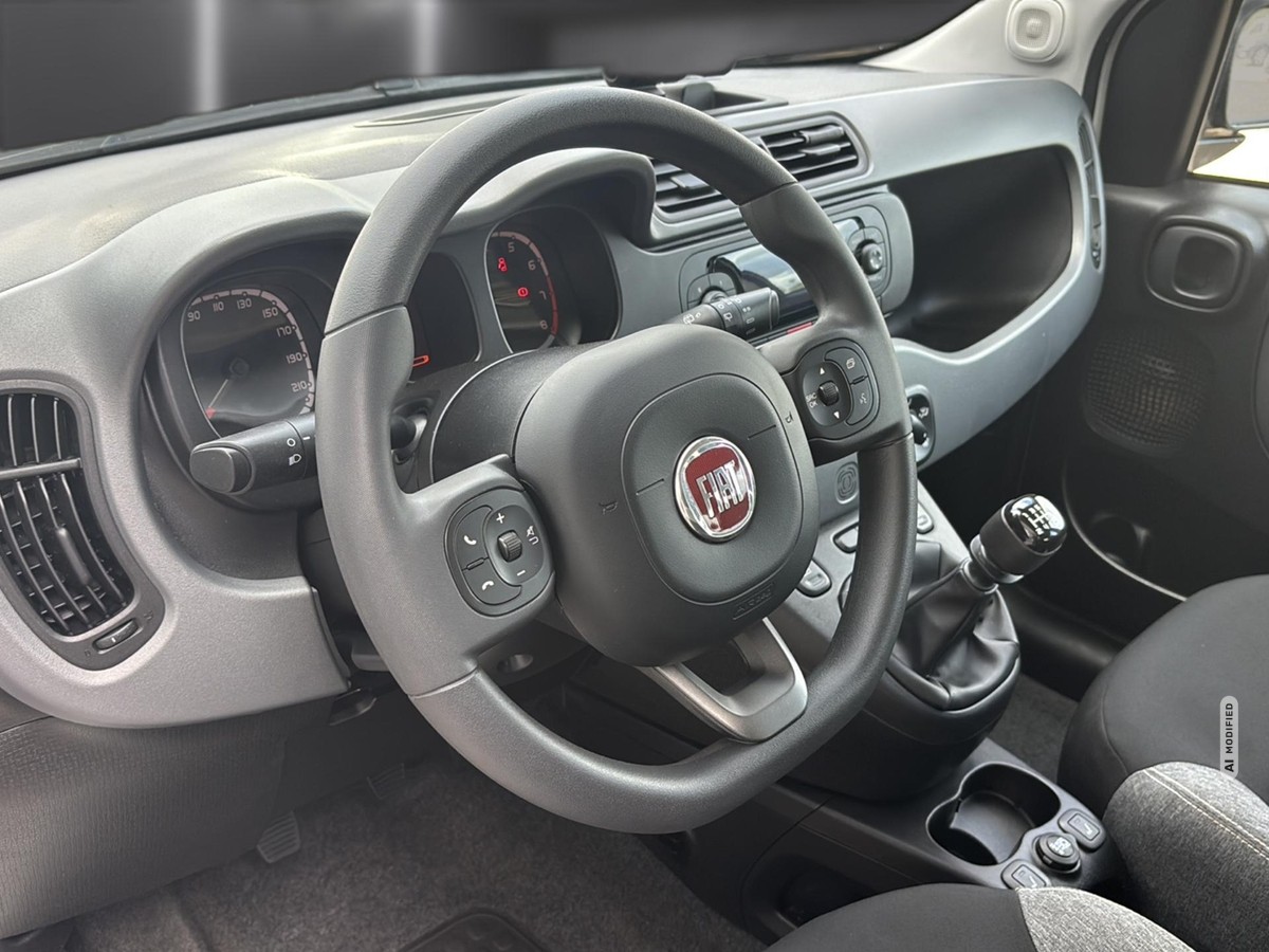 Fiat Panda 1.0 Mild Hybrid City Life *SHZ *KLIMA