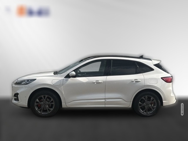 Ford Kuga PHEV  ST-Line X AHK el.+Panodach+ACC+ WinterP. 8 Fach bereift