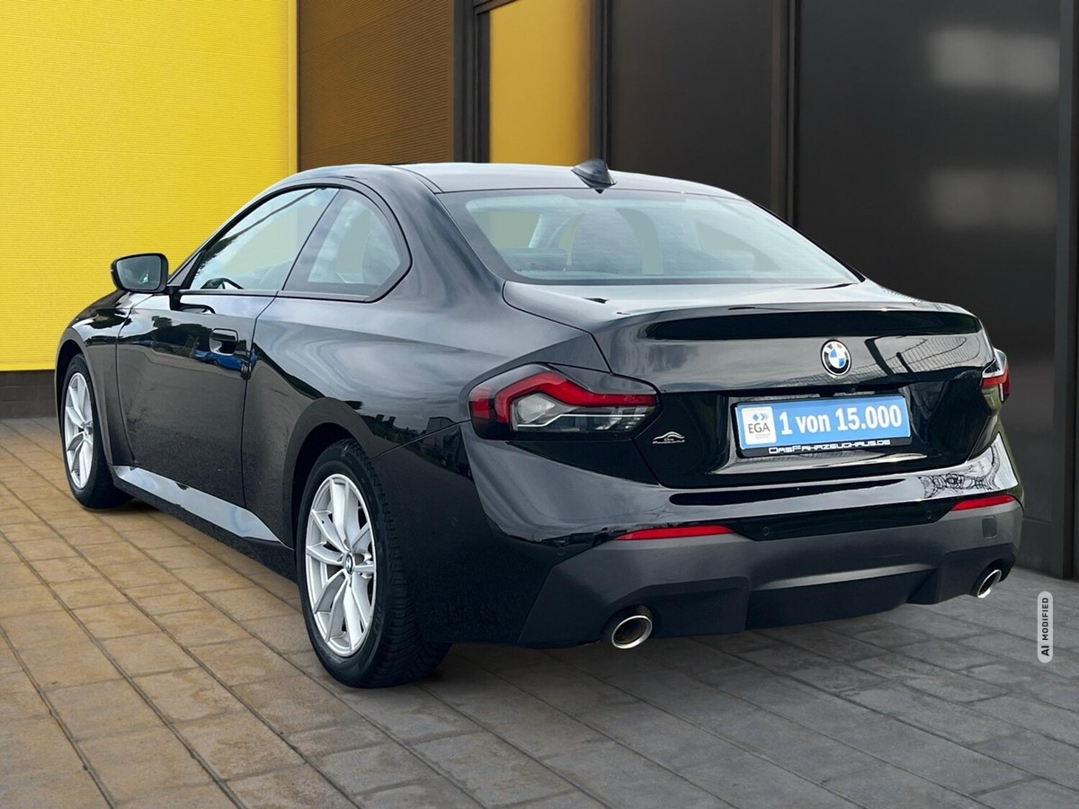 BMW 2er Gran Coupe 2er - 220 i Advantage (EURO 6d)(OPF) 