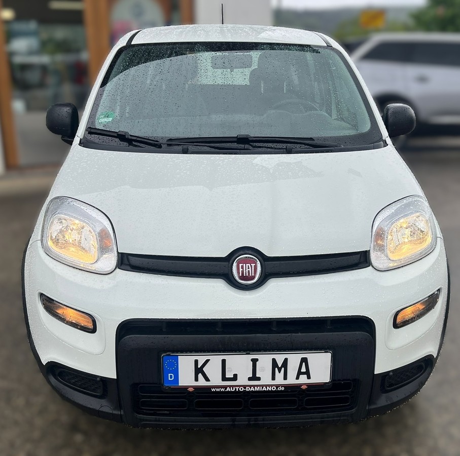 Fiat Panda 1.0 Mild Hybrid Base *Klima*wenig KM*