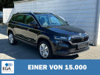Bild Skoda Karoq 