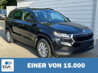 Bild Skoda Karoq Selection 2.0 TDI DSG 4x4 AHK*Android Auto*ACC*EasyOpen*SHZ*Kamera*Keyless