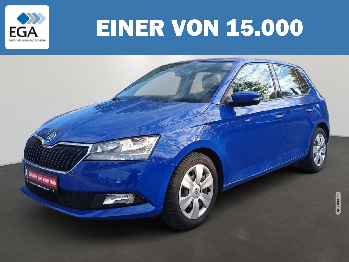Skoda Fabia 1.0 MPI Active PDC Klima DAB wenig KM