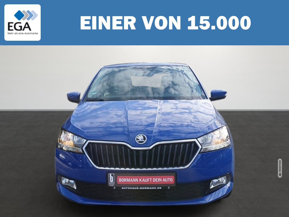 Skoda Fabia 1.0 MPI Active PDC Klima DAB wenig KM
