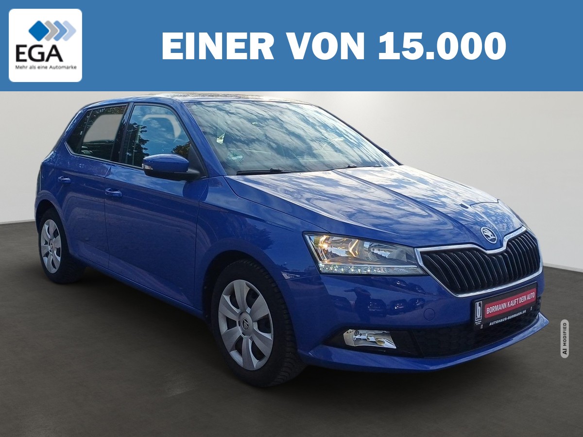 Skoda Fabia 1.0 MPI Active PDC Klima DAB wenig KM