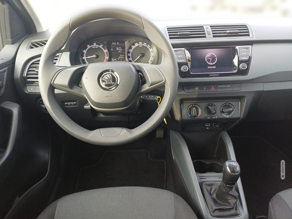 Skoda Fabia 1.0 MPI Active PDC Klima DAB wenig KM