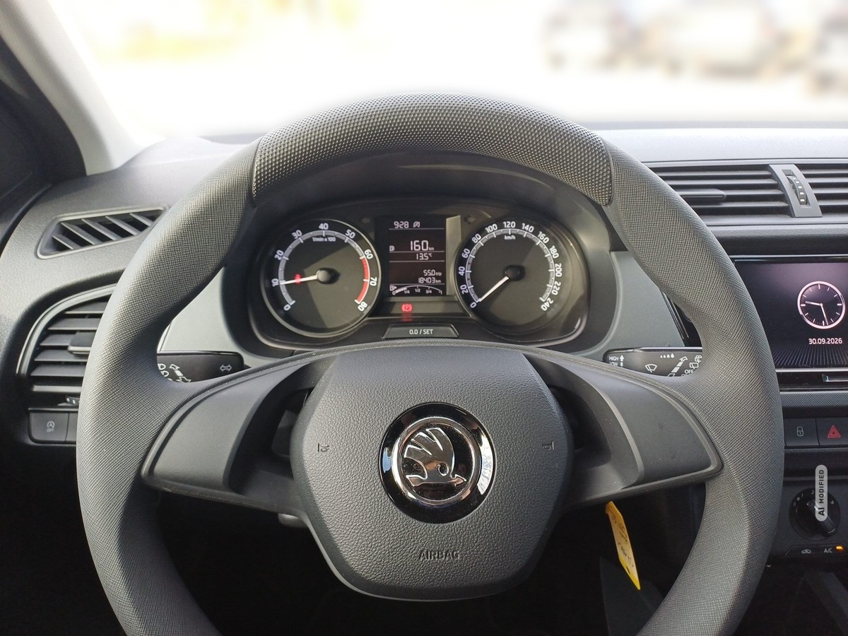 Skoda Fabia 1.0 MPI Active PDC Klima DAB wenig KM