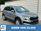 Bild Skoda Karoq Selection 2.0 TDI DSG 4x4 AHK*Android Auto*ACC*EasyOpen*SHZ*Kamera*Keyless