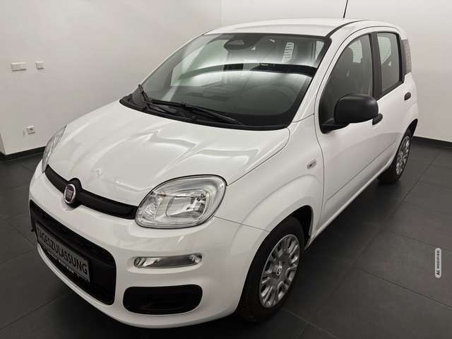 Fiat Panda Pandina Icon 1.0 Hybrid m. Tempomat+DAB+PDC hi