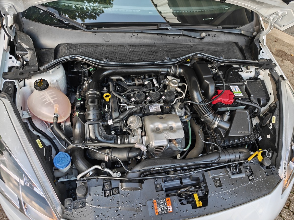 Ford Fiesta 1.0 l EB ST LINE  APPLINK  SHZ KLIMA MFL SPOSI PDC  