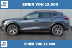 Bild Cupra Formentor 4x4 AHK+eHK+NAVI+KAMERA+ACC+SHZ+18