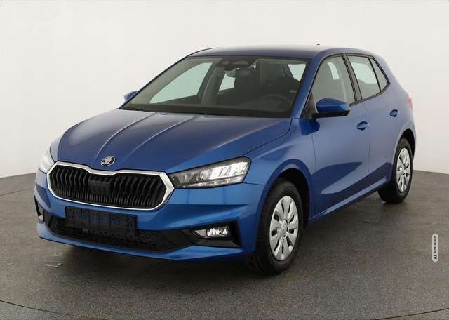 Skoda Fabia 1.0 TSI Selection, Ladeboden, Park, SmartLink, 4 J