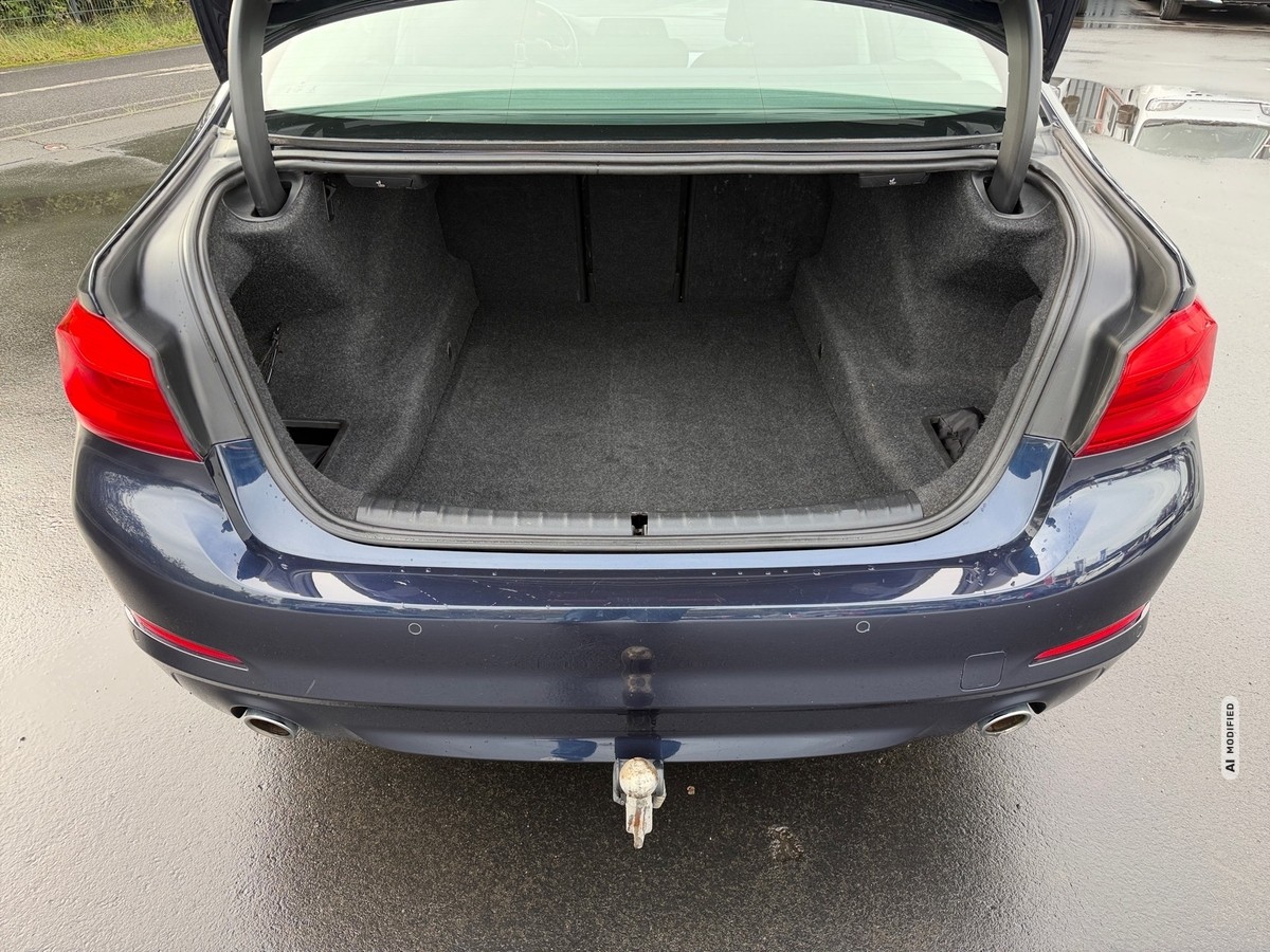 BMW 520Mild Hybrid *Nur Händler*Business Paket AHK