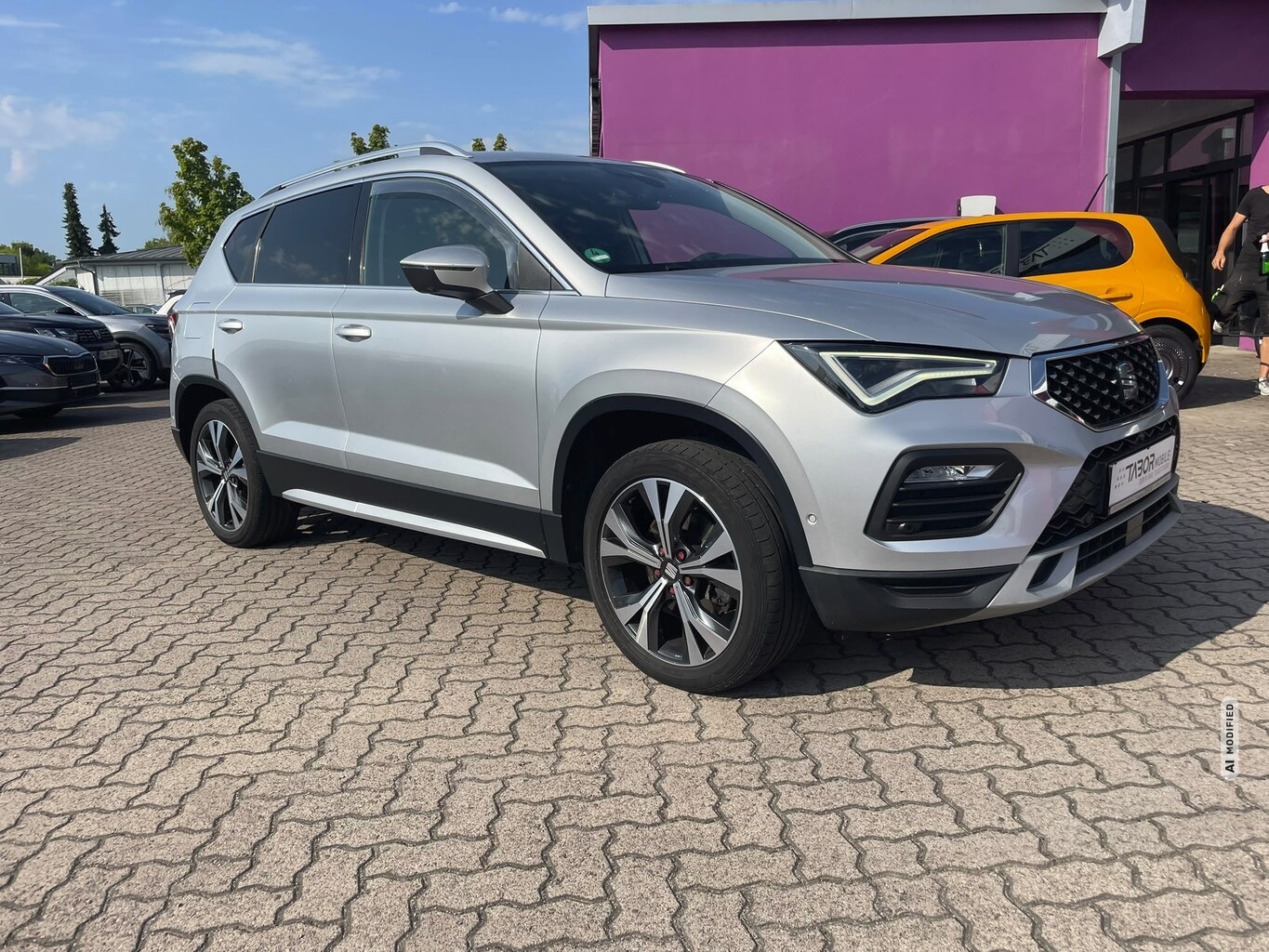 Seat Ateca 2.0 TDI 150 Xperience Nav ACC Kam360° 18Z