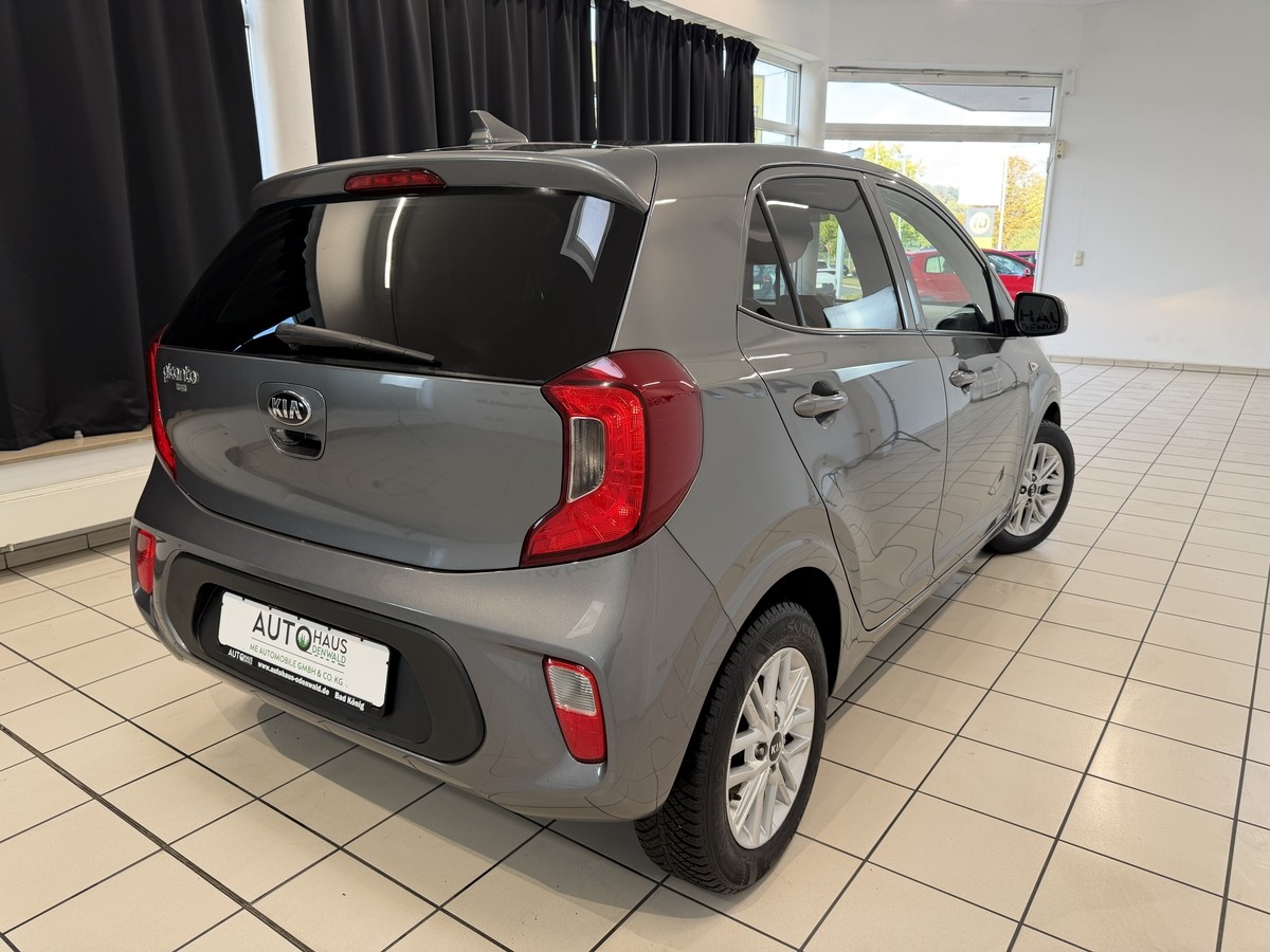 Kia Picanto 1.0 Dream Team Edition*Allwetter*CarPlay*