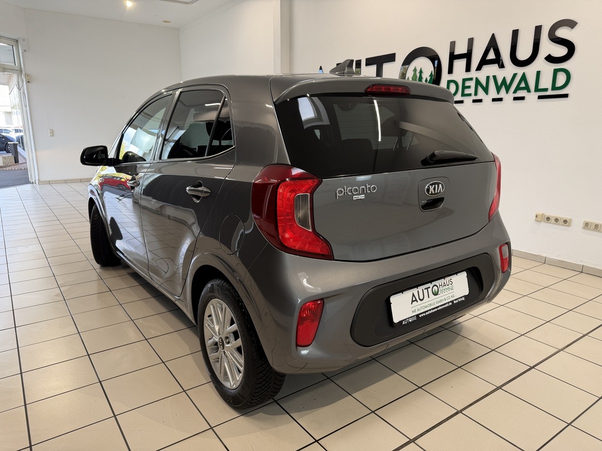 Kia Picanto 1.0 Dream Team Edition*Allwetter*CarPlay*