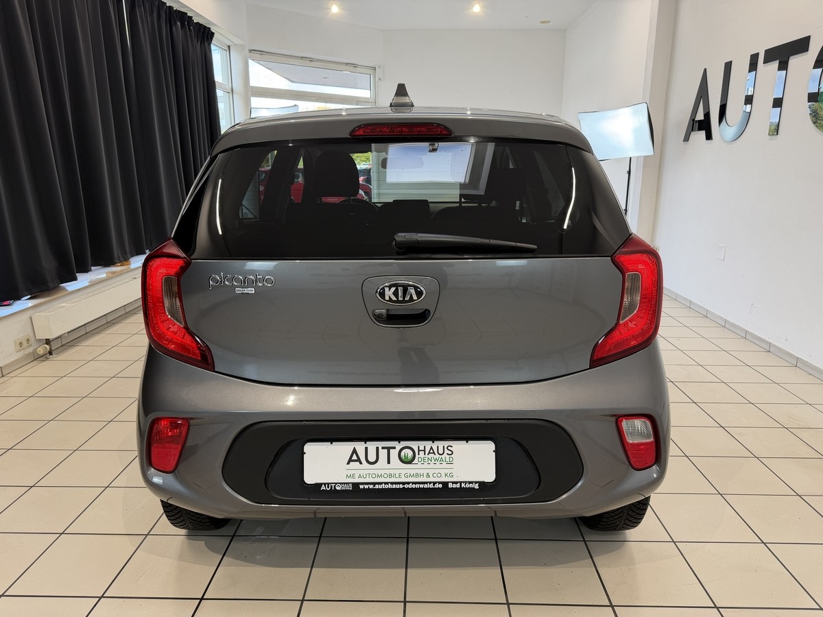 Kia Picanto 1.0 Dream Team Edition*Allwetter*CarPlay*