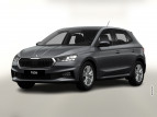 Bild Skoda Fabia DSG Selec Kessy Kam SHZ SunS Temp 5J/100k