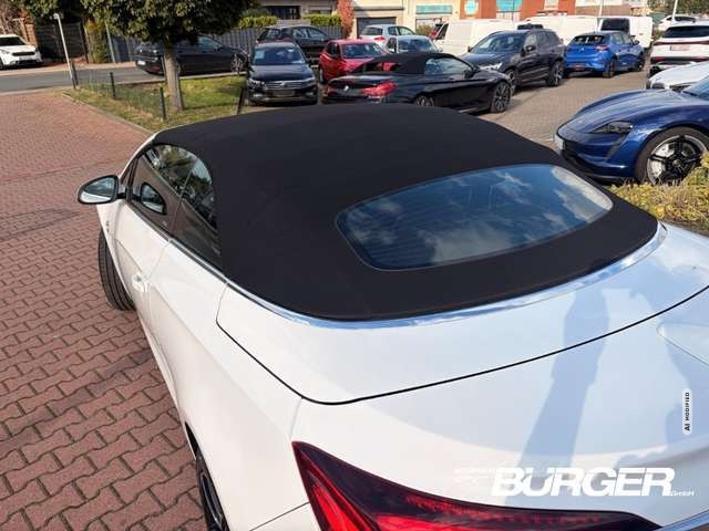 Opel Cascada Innovation Navi Leder Klimasitze Bi-Xenon El. Verd