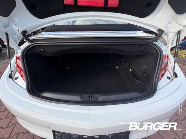Opel Cascada Innovation Navi Leder Klimasitze Bi-Xenon El. Verd