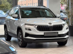Bild Skoda Karoq 2TDI Tour | 360°|ACC|AHK|KESSY|CARPlAY