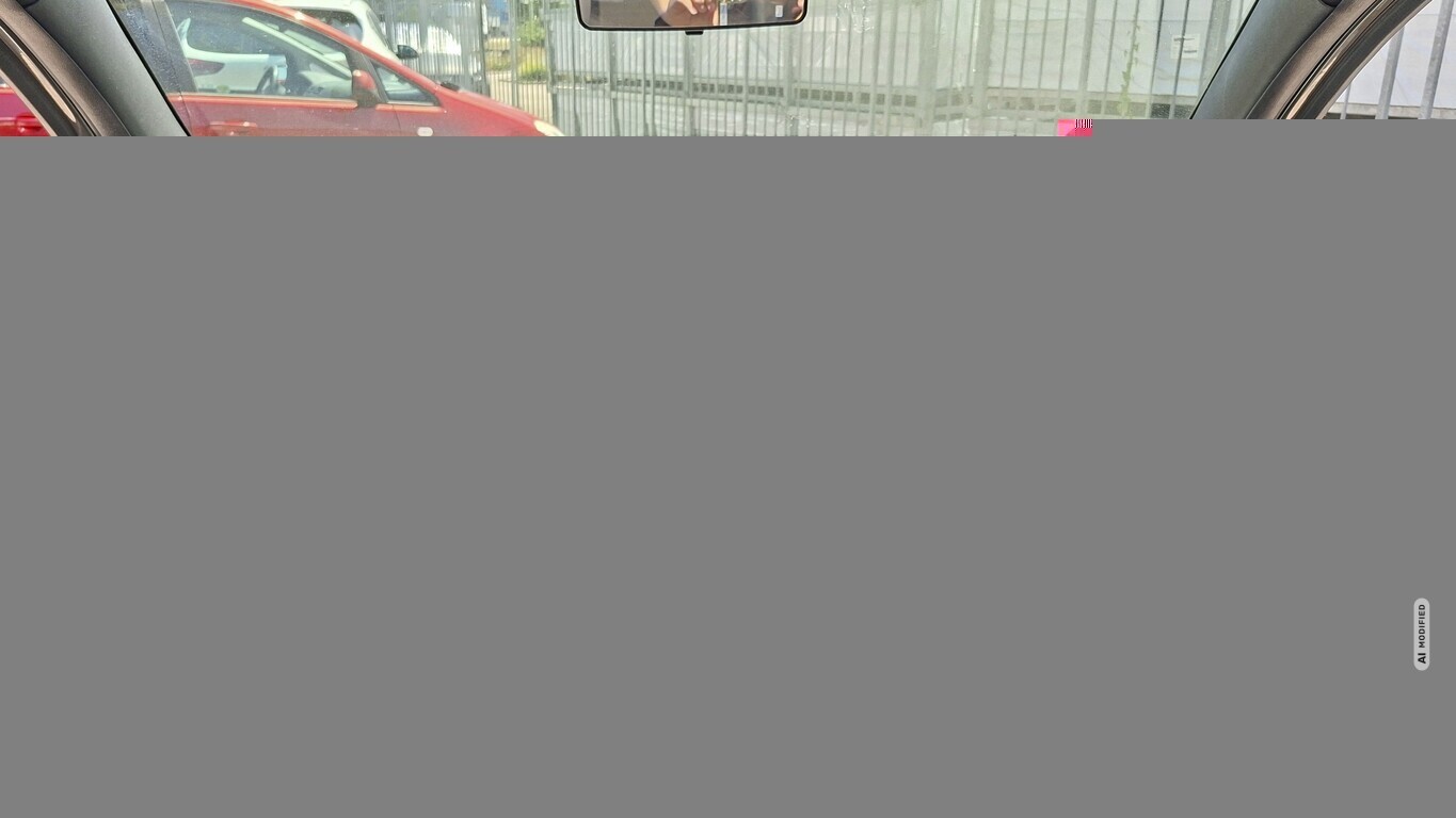 Fiat 500C 1.2 8V 69 RockStar Nav PDC Klimaaut. LM16Z