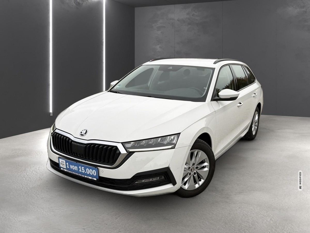 Skoda Octavia Combi 2.0 TDI Ambition *StandHZ *LED AHZV