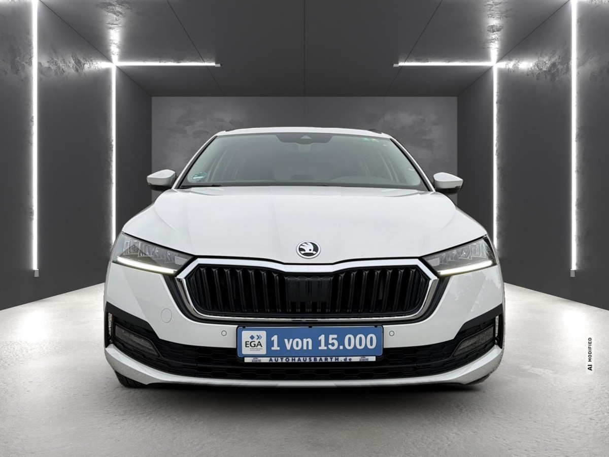 Skoda Octavia Combi 2.0 TDI Ambition *StandHZ *LED AHZV