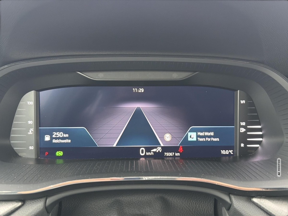Skoda Octavia Combi 2.0 TDI Ambition *StandHZ *LED AHZV